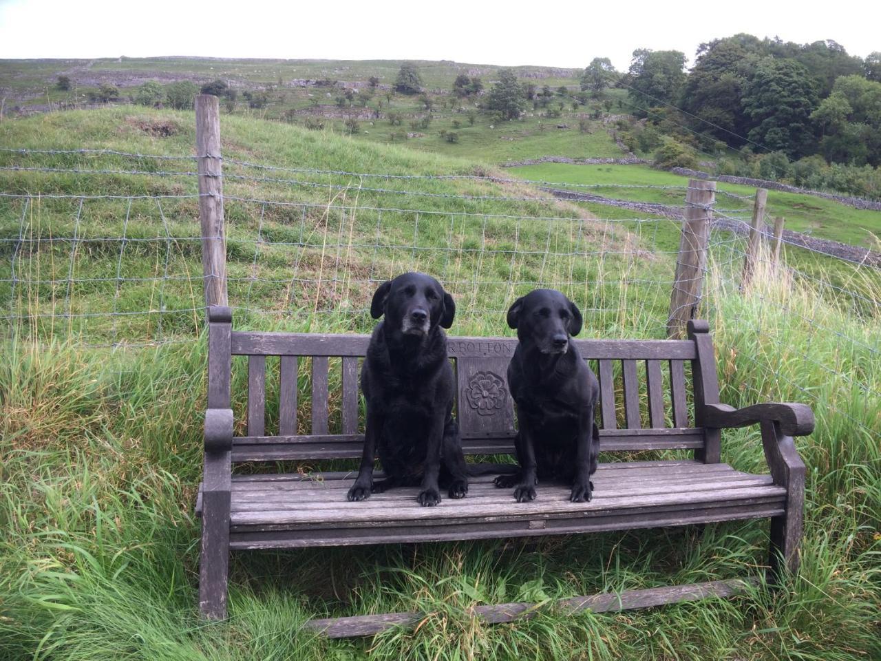 Fox And Hounds *